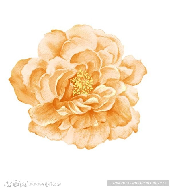 瓷器花纹