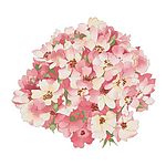 瓷器花纹