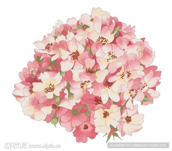 瓷器花纹