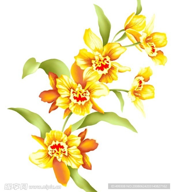 瓷器花纹