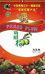 红茶梅