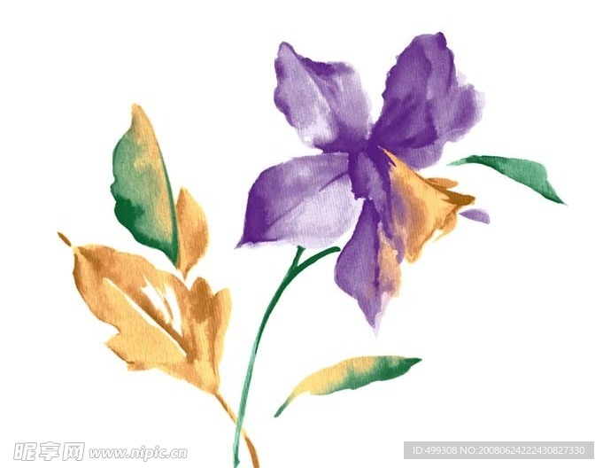 瓷器花纹
