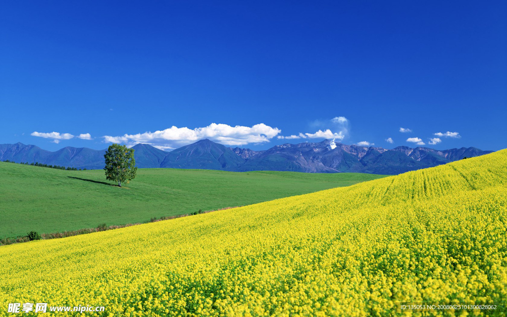 日本北海道田园风景