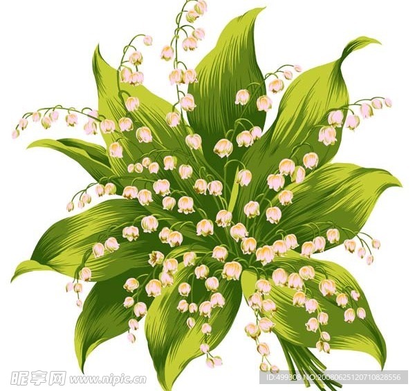 瓷器花纹