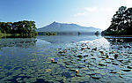 日本北海道旅游风景