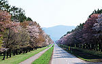 日本北海道旅游风景