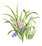 瓷器花纹