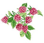 瓷器花纹