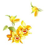 瓷器花纹