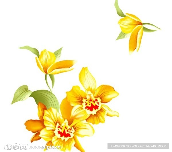 瓷器花纹