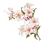 瓷器花纹
