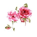 瓷器花纹