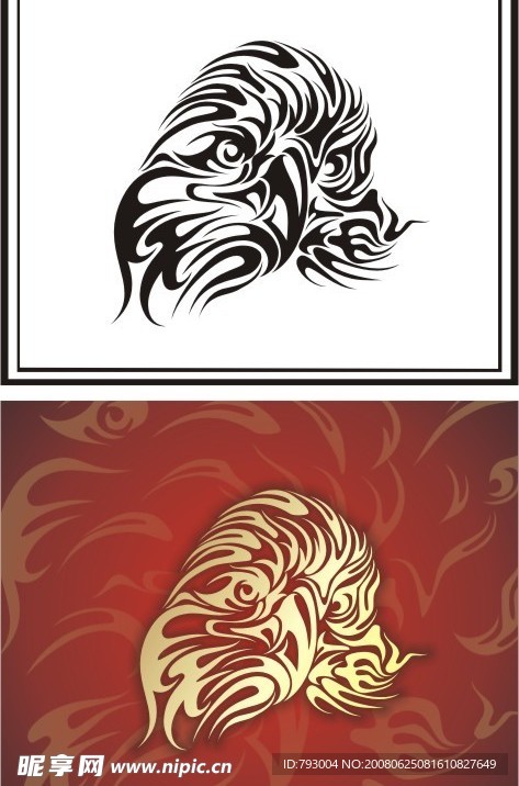 鹰