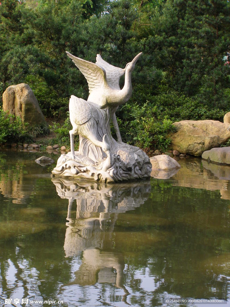 白鹭