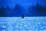 山水涟涟