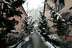 雪景