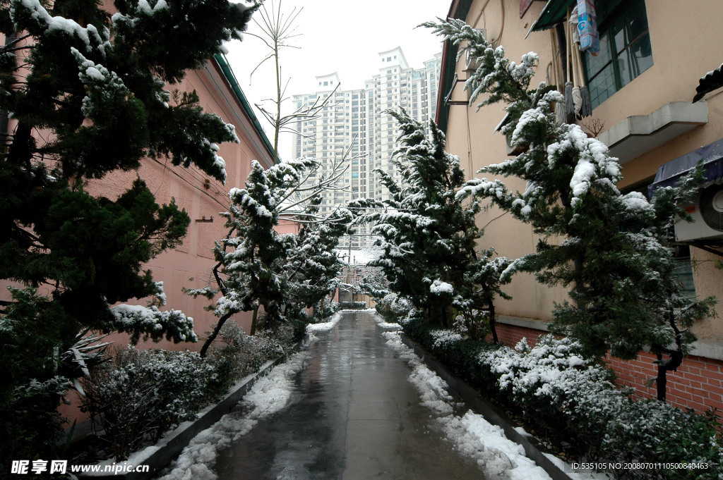 雪景