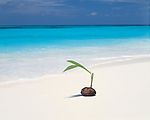 海滩