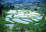 大幅高清梯田图