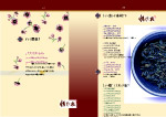 菜谱菜谱封面高档菜谱