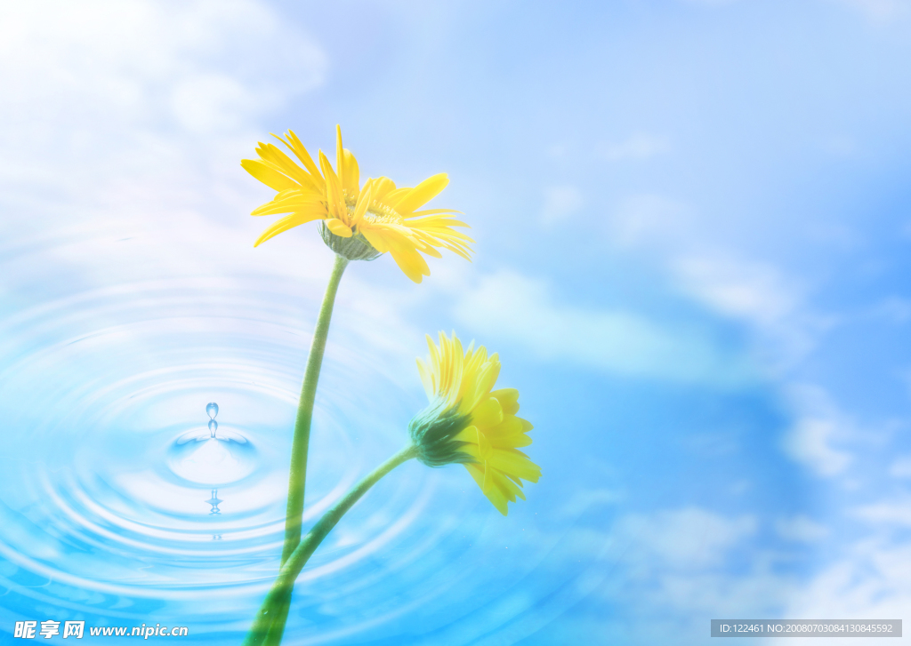 水中花