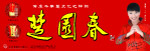 楚园春形象广告