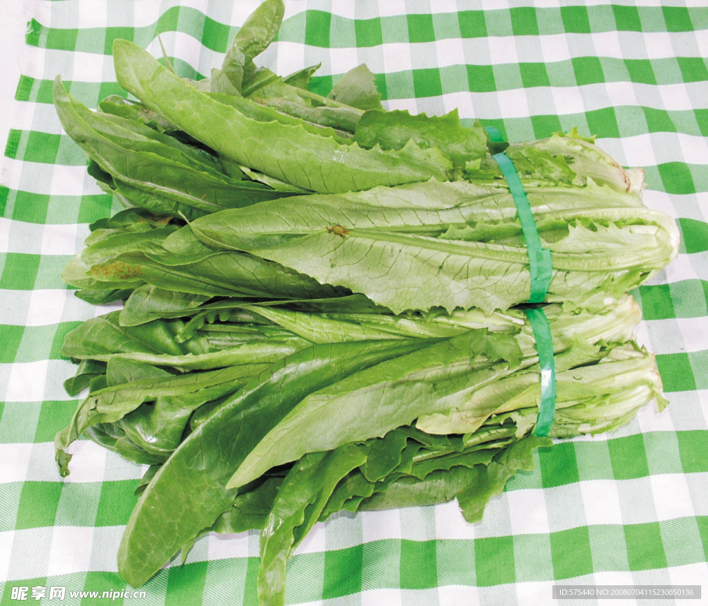 油麦菜