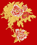 国色牡丹花