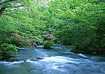 小溪流水