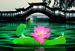杭州西湖