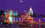 学村夜色