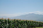 玉米地山蓝天