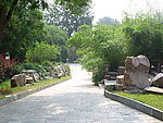 石板路
