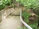 蜿蜒小路