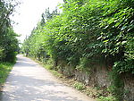 上山小路