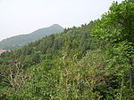 青山
