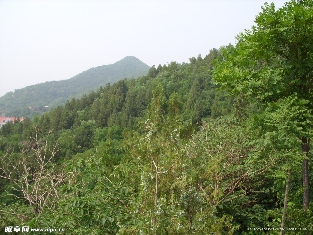 青山