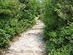 崎岖山路