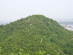青山