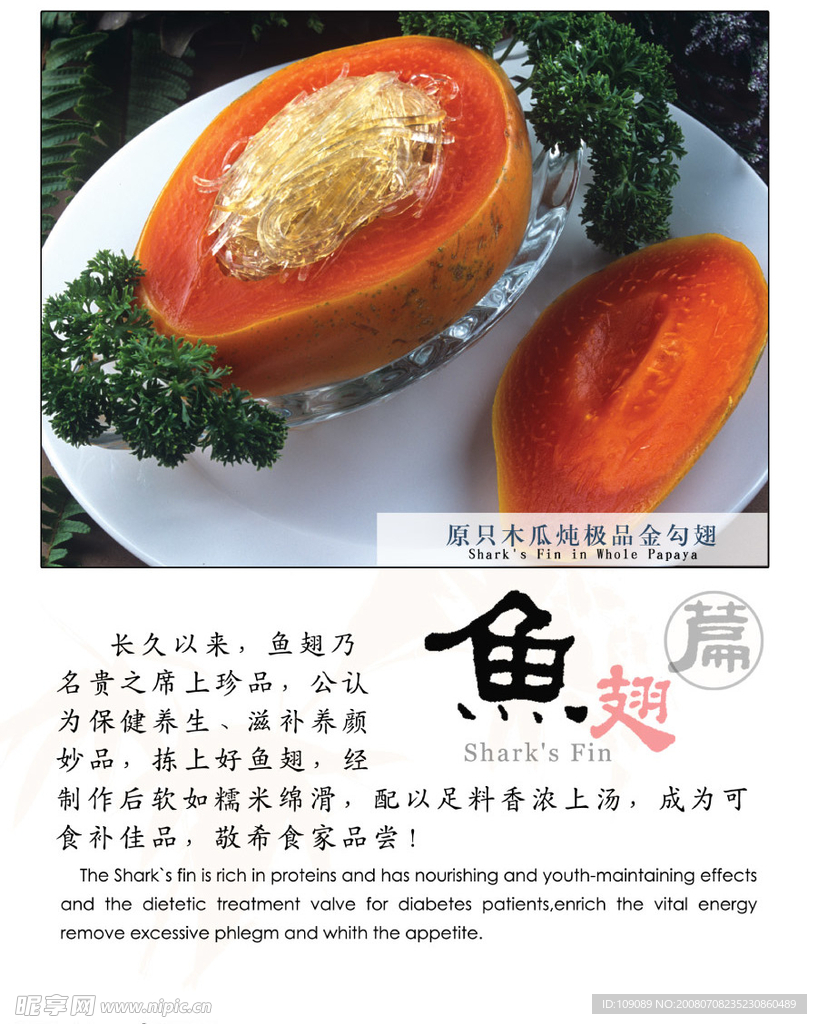 鱼翅