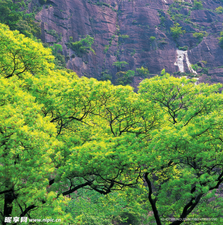 绿树红岩