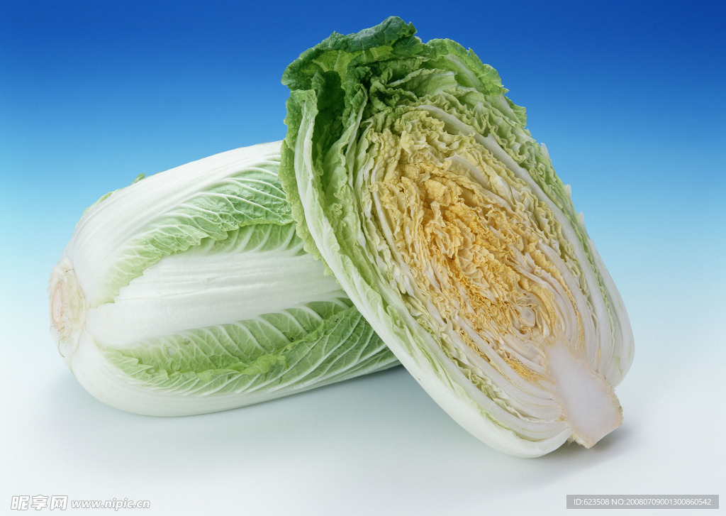 大白菜