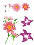 矢量花花