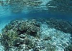 海底世界