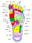 脚穴位