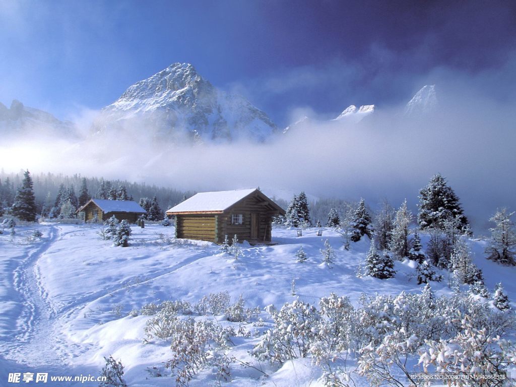 雪景