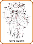 头面颈部穴位图 矢量