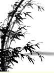 竹子 竹林 国画