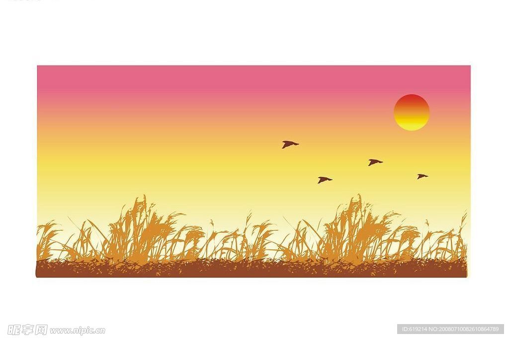 夕阳  落日