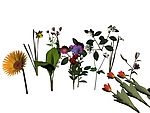 花